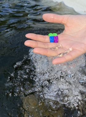 坏熊集市撞色素圈撞色戒指定制