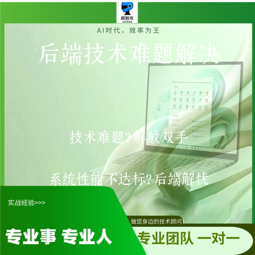 后端技术服务 Java/Python/SQL 难题解决 需求定制开发 专业支持