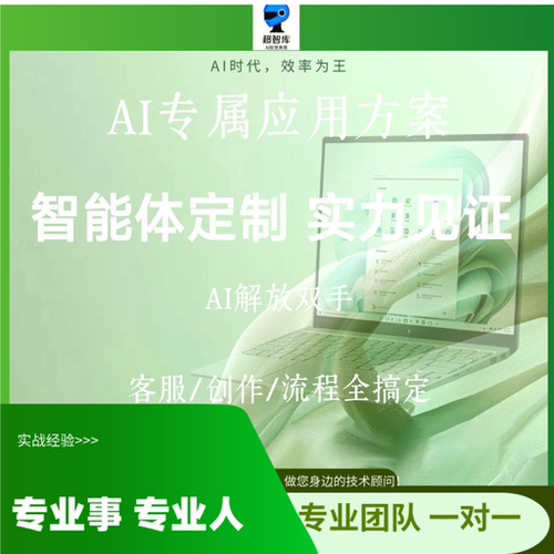 智能体定制 AI定制应用方案 企业个人 实力承接 效果保障 B端C端