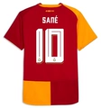 No. 10 Sane