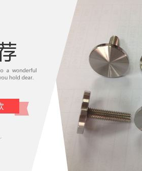 304不锈钢实心钉 广告钉 玻璃钉 车牌螺丝 镜钉12直径XM4X30杆长