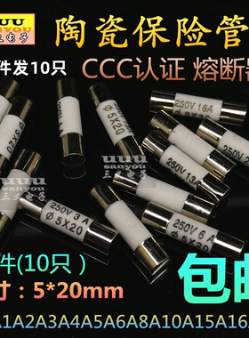 5*20mm陶瓷保险管丝E250V熔断器 T1A2A3A5A8A10A16A20A 欧普浴霸