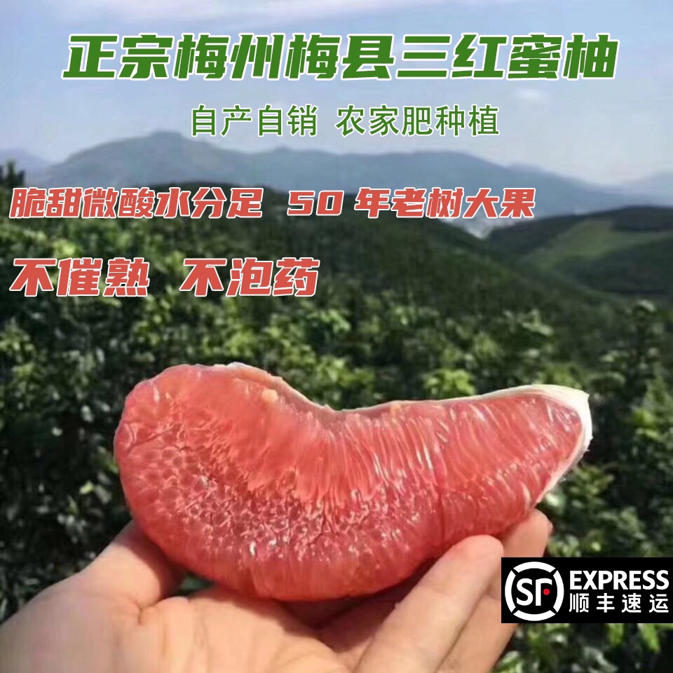 三红蜜柚新鲜水果孕妇红心红肉