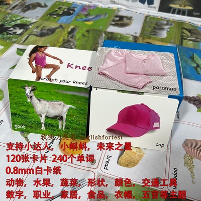 苗爸英语启蒙高频生活闪卡认知卡单词卡早教卡实物图