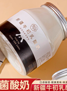 新疆悠了优乐牛初乳酸奶全脂鲜牛乳发酵原味老酸奶大桶装1000g2桶