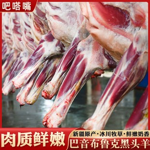 新疆羊肉新鲜现杀正宗黑头羊绵羊肉生鲜羊排羊腿羊蝎子羊腩羔羊肉