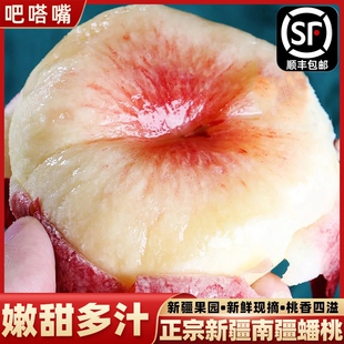 新疆石河子蟠桃和静毛蟠桃当季新鲜水果扁桃子现摘脆甜多汁桃子