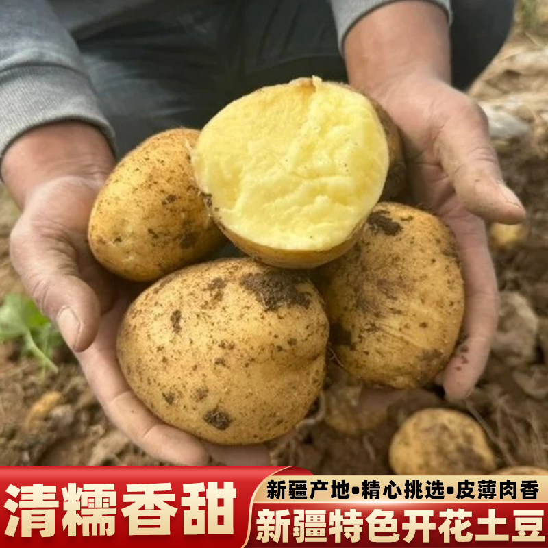新疆开花土豆新鲜现挖黄皮土豆农家自种黄心洋芋蔬菜粉糯马铃薯