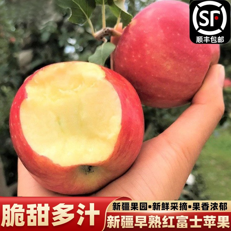 新疆阿克苏苹果早熟红富士苹果