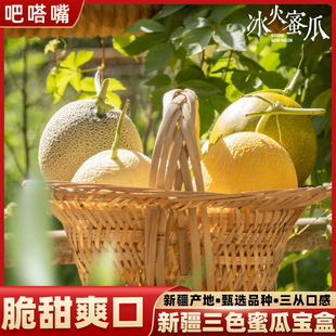 新疆哈密瓜正宗吐鲁番冰火蜜瓜三色密瓜盲盒三拼甜瓜原产地发货