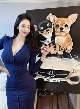 韩国江南美人V领PoLo领排扣性感显身材修身包臀连衣裙长裙