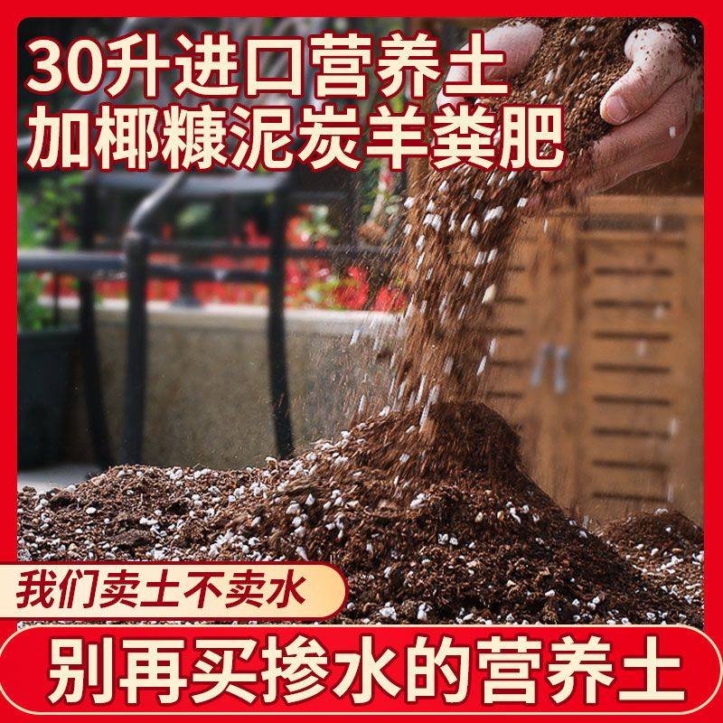 泥炭营养土养花轻质通用型有机图片