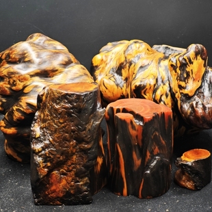 东北松明子琥珀木盲盒底座桌面小摆件拍照道具实木装饰木树桩树根