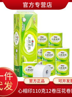 心相印卷纸BT5312有芯卫生纸卷筒110g12卷立体压花心相印