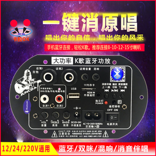 消原唱大功率蓝牙音响低音炮主板12v24v220v广场舞音箱配件功放板