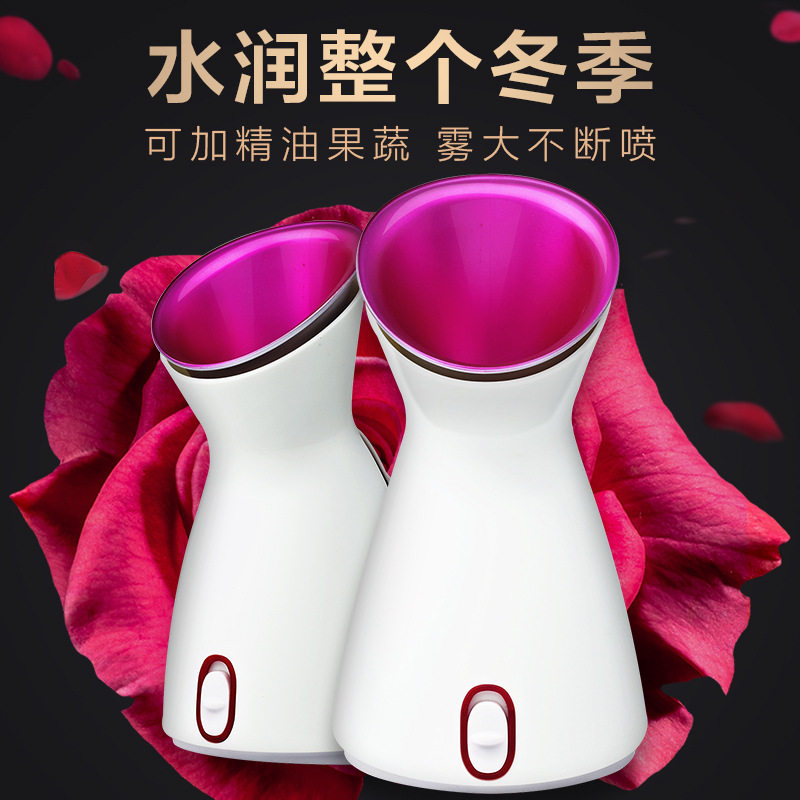 热喷蒸脸器家用面部清洁护理蒸脸仪可放果蔬中草药纳米补水喷雾机