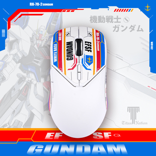 泰坦国度适用于雷柏VT9Pro VT9s泰坦皮鼠标防滑贴GPW3定制汗贴