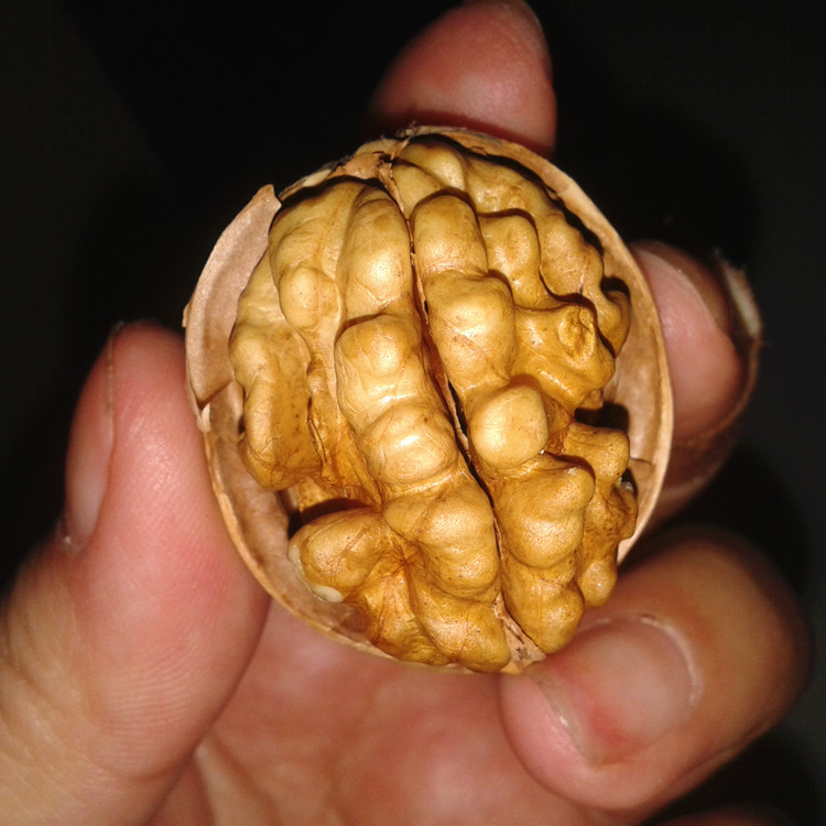 新货原味纸皮核桃手捏即开