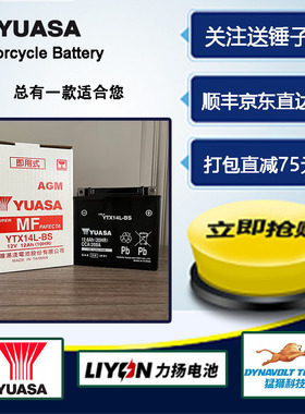 本田双非 CB1100 CB1300 CRF CM1100 NC750 CBR650 VFR800电瓶