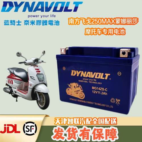 YTZ14S梦拉丽莎150飞戈150南方飞戈250MAX蒙娜丽莎摩托车电瓶电池