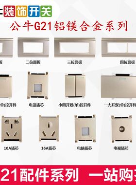 公牛长方形组合电脑模块开关插座