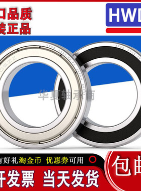 微型进口SKF轴承16000 16001 16002 16003 16004 16005 ZZ DDU E