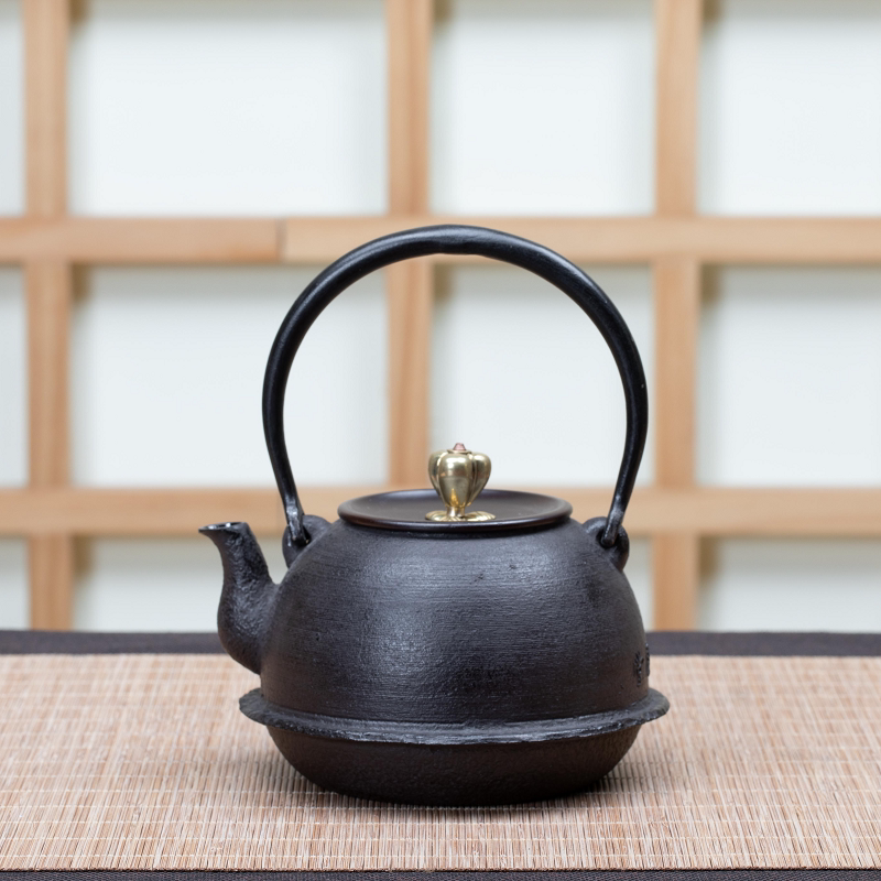 日式时尚手工茶具铸铁壶提梁壶煮茶器泡茶壶家用烧水壶 小羽付