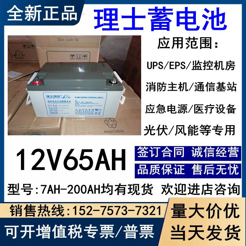 LEOCH蓄电池12V65AH质保三年DJM1265S UPS/EPS/直流屏电源