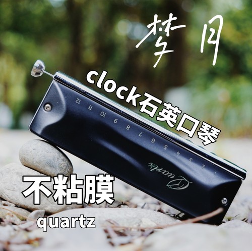 嘉德瑞十二孔C调入门半音阶口琴