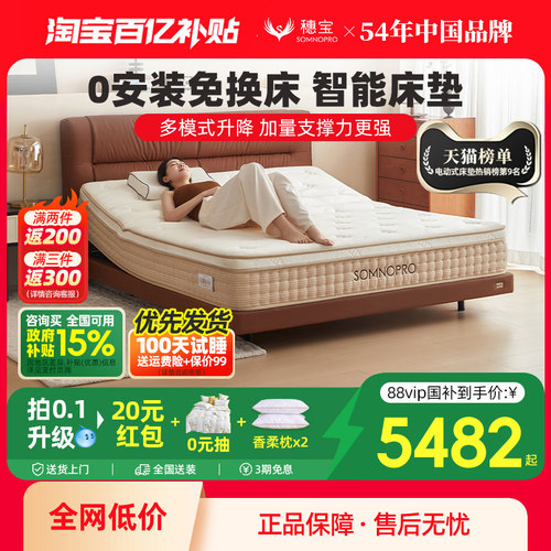 穗宝智能床多功能现代简约双人高端按摩记忆棉床垫 东方梦·云端