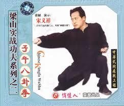 梁山实战功夫 子午八卦拳 VCD 讲解:宋义祥