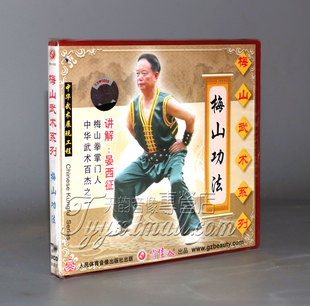 1VCD 梅山功法 晏西征 梅山武术系列 正版