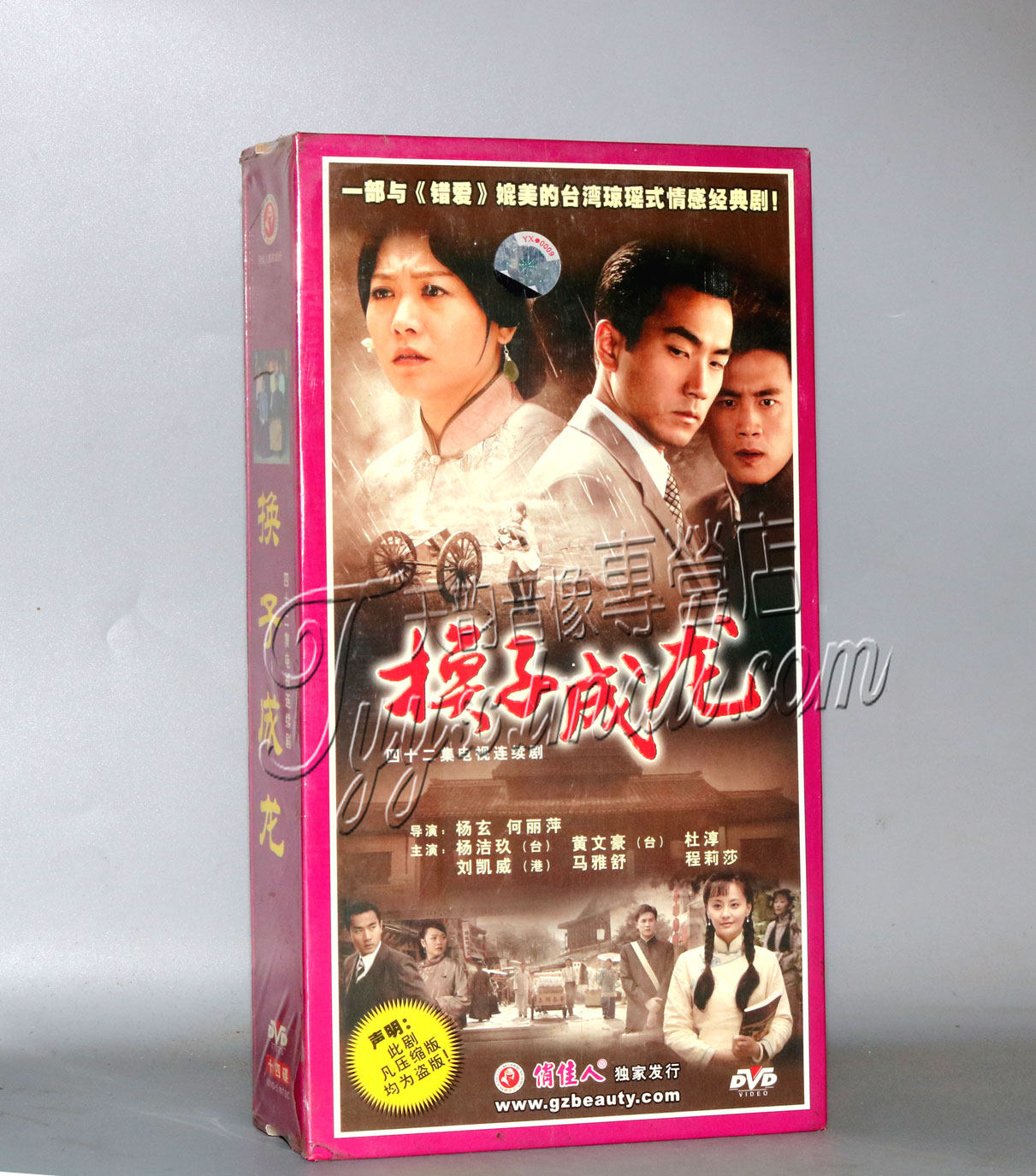 正版电视剧 换子成龙 精装版14DVD 杨洁玖 黄文豪 杜淳 刘凯威