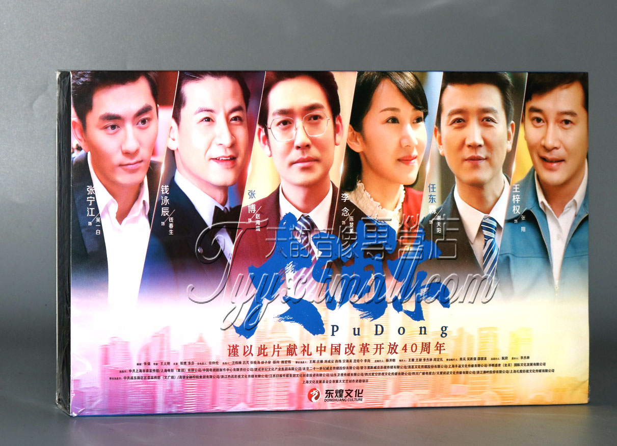 正版电视剧 大浦东8dvd 经济版盒装 张博 李念 任东霖