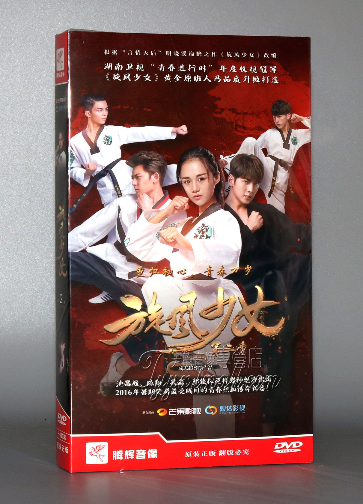 正版电视剧 旋风少女第二季 10dvd经济版 池昌旭 吴磊 陈翔