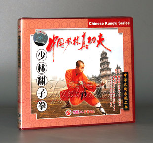 1VCD 翻子拳 正版 少林真功夫