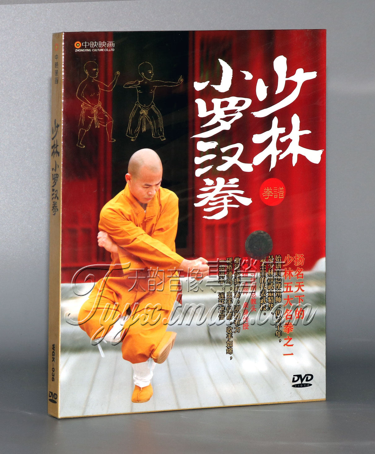 正版教学光盘 少林罗汉拳小罗汉拳少林武术基本功拳法DVD视频碟片