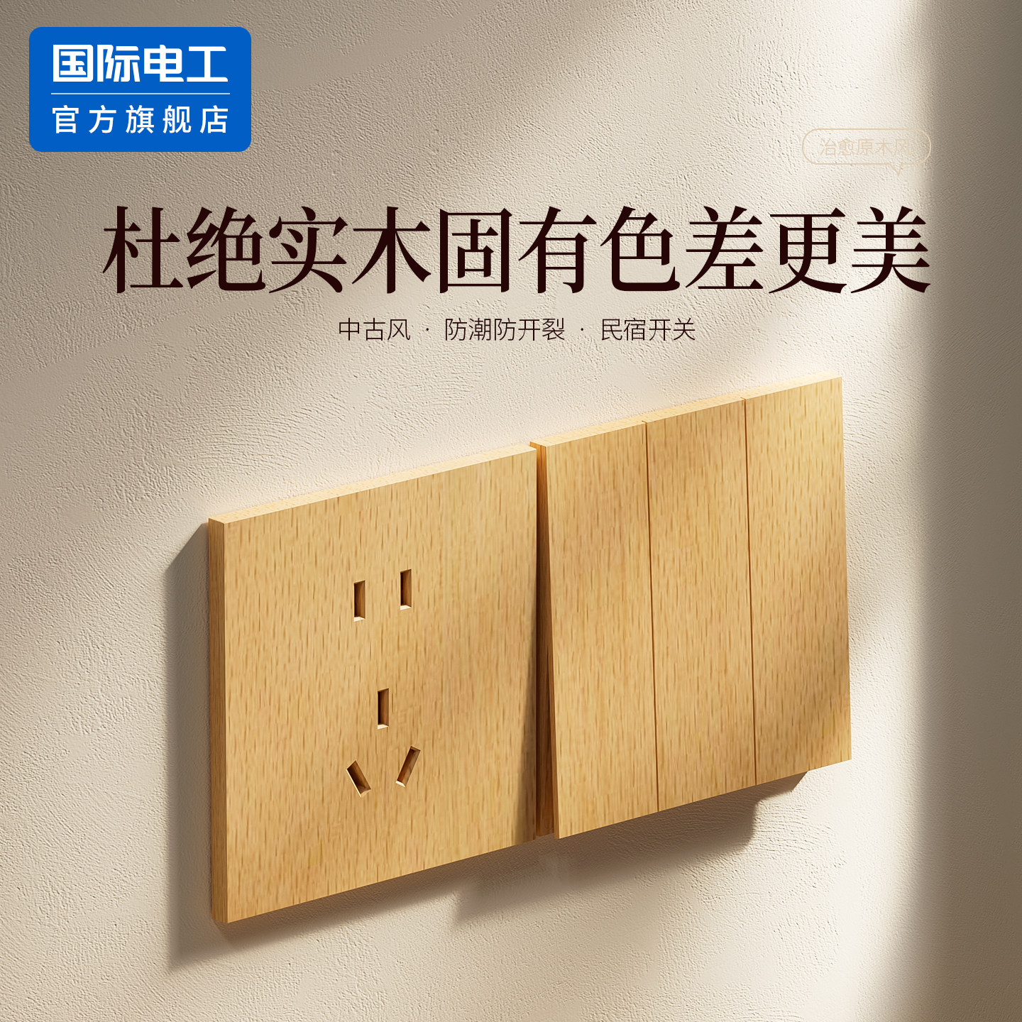 国际电工官方正品大板双控开关