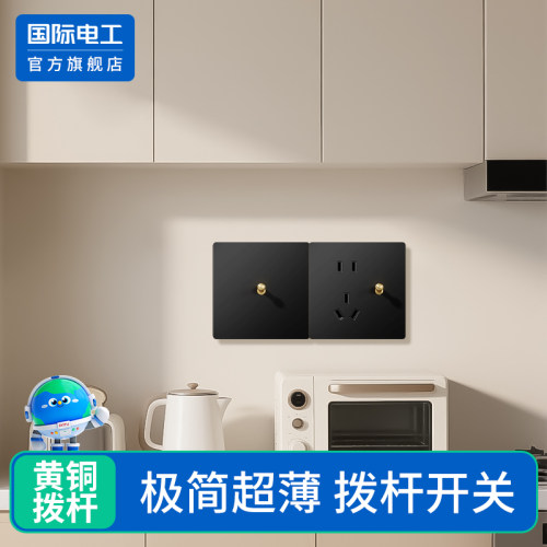 国际电工官方黄铜拨杆单控开关