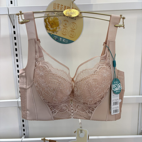 小仙托内衣新款聚拢收副乳ABCD杯