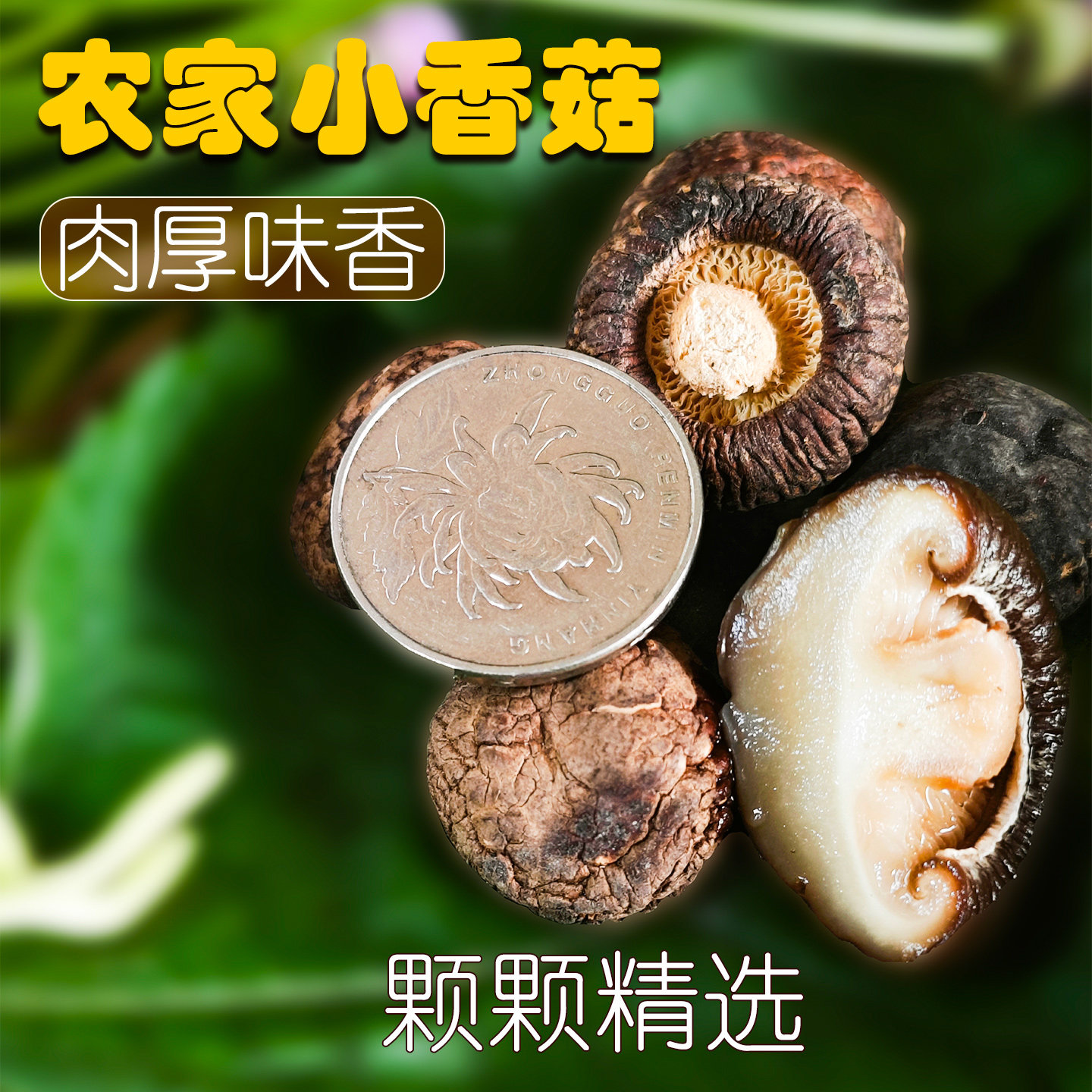 干香菇农家晾晒肉厚无添加香菇干货足重无根新货冬菇菌菇煲汤食材
