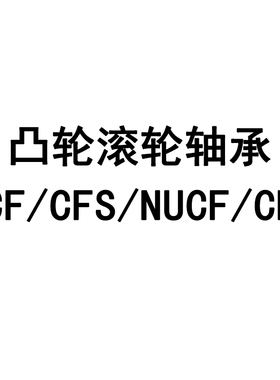 日本IKO原装进口 CF10-1B KR26PP VB UUR内10外22 26螺栓滚轮轴承