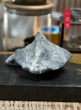 灵芝/ 天然太湖石桌面小摆件 毛石未刷 象形石一朵灵芝 书桌茶桌