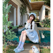 海盐甜霜 加购出道 新品 预告