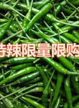 青小米椒泡椒新鲜小尖椒朝天椒