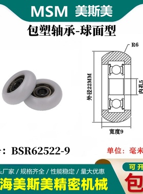 MSM圆弧球面包塑轴承尼龙滑轮耐磨塑料轴承BSR62522-9/BSR62525-9