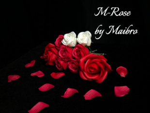 玫瑰幻变 魔术道具 夜鹰魔术