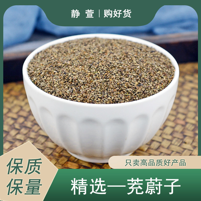 茺蔚子中药材静萱正品野生益母草子益母草籽种子泡搭茺蔚子粉