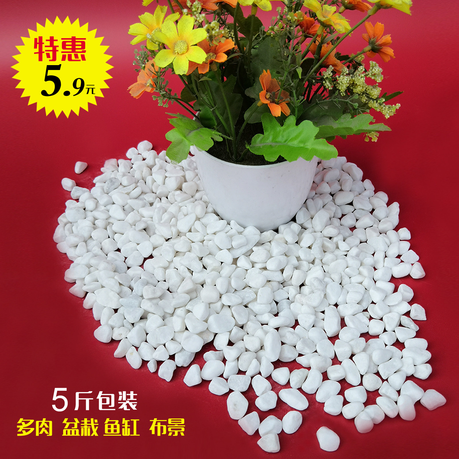 天然白色小石子白石子小石头鹅卵石雨花石花盆盆栽多肉装饰铺面,鲜花速递/花卉仿真/绿植园艺,其它园艺用品,淘宝优惠券,粉丝福利购,淘宝优惠卷