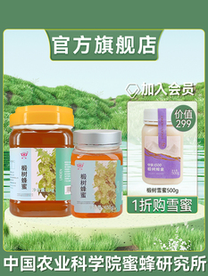 新疆包邮华兴菩提树蜂蜜易结晶蜜蜂蜂蜜男孩和女孩健康滋养家庭装